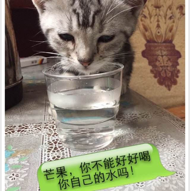 办理荷兰居留证